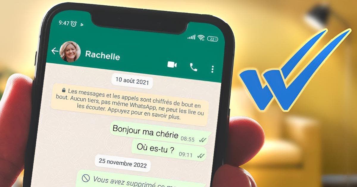 Astuce WhatsApp - comment savoir si un contact a lu votre message, même sans les coches bleues _