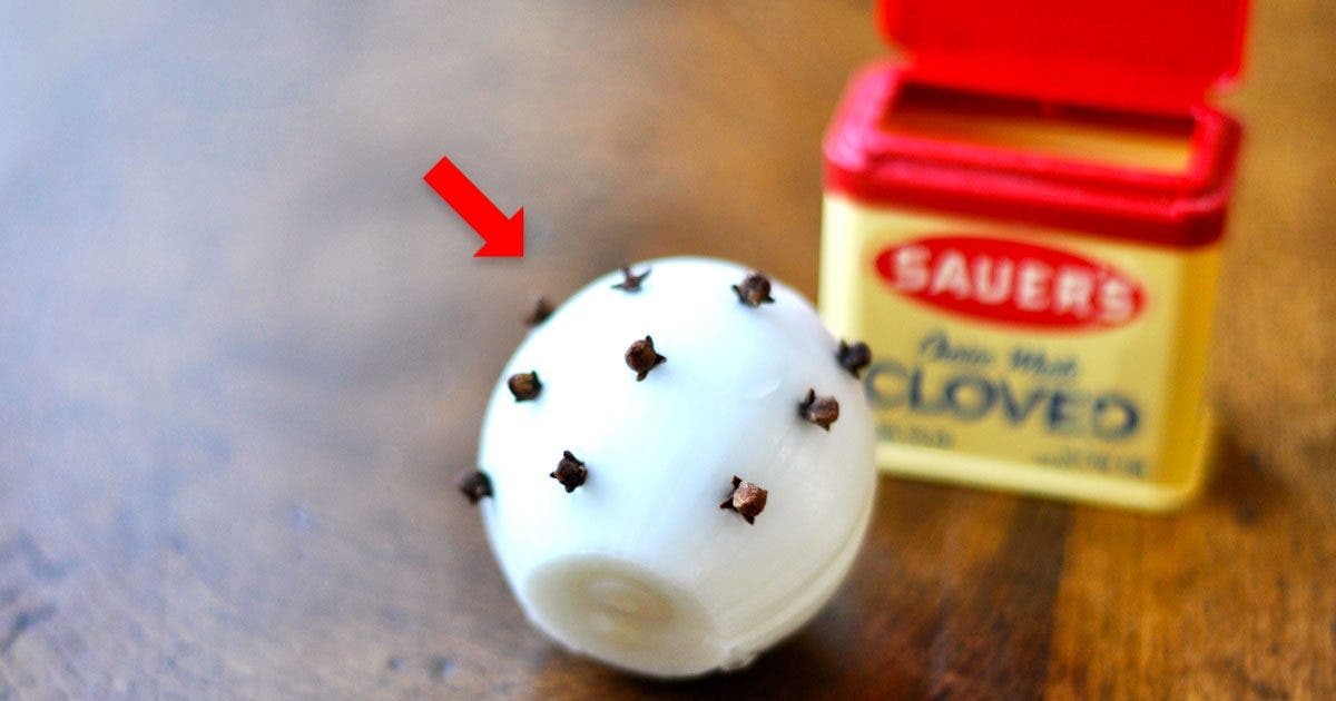 Pourquoi fautil dormir avec un oignon dans la chambre