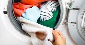 Avant de mettre le linge dans la machine à laver, n'oubliez pas cette étape - c’est très important_