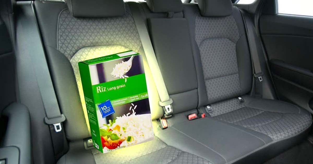 riz dans la voiture