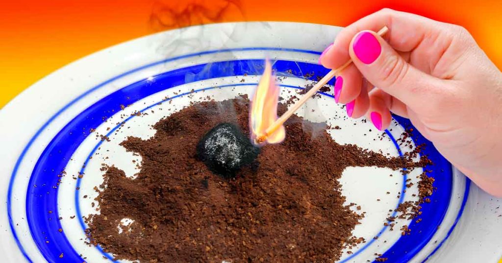 Comment éloigner les moustiques avec du marc de café — free download