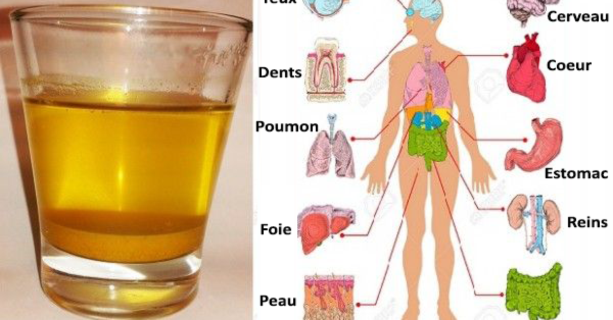 Buvez de l’eau au citron et au miel le matin