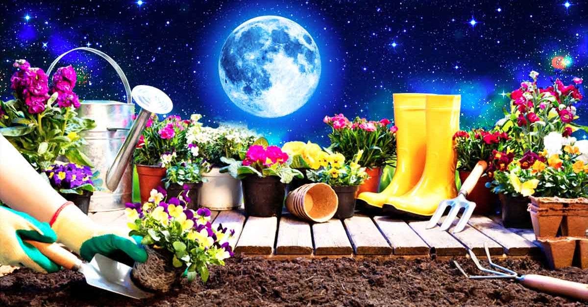 Calendrier lunaire pour mai 2022 : quels jours sont les plus propices pour planter et jardiner