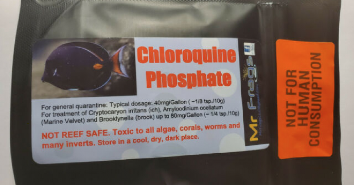 Chloroquine-poisson
