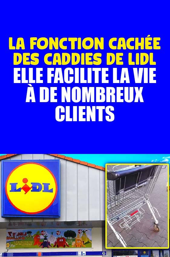 Quelle est la fonction cachée des caddies de courses de Lidl ?