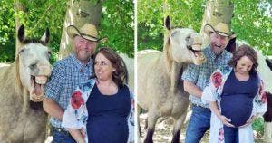 Ce drôle de cheval a volé la vedette lors d'une séance photo avec ses propriétaires