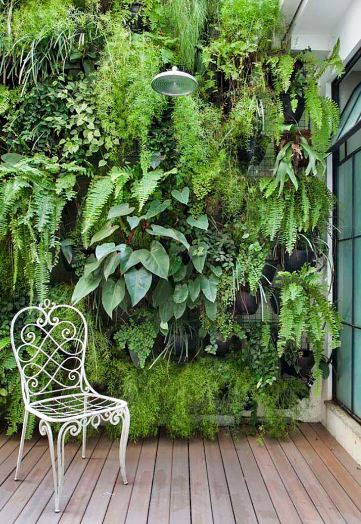 Este gran muro verde domina el jardín y atrae la atención.
