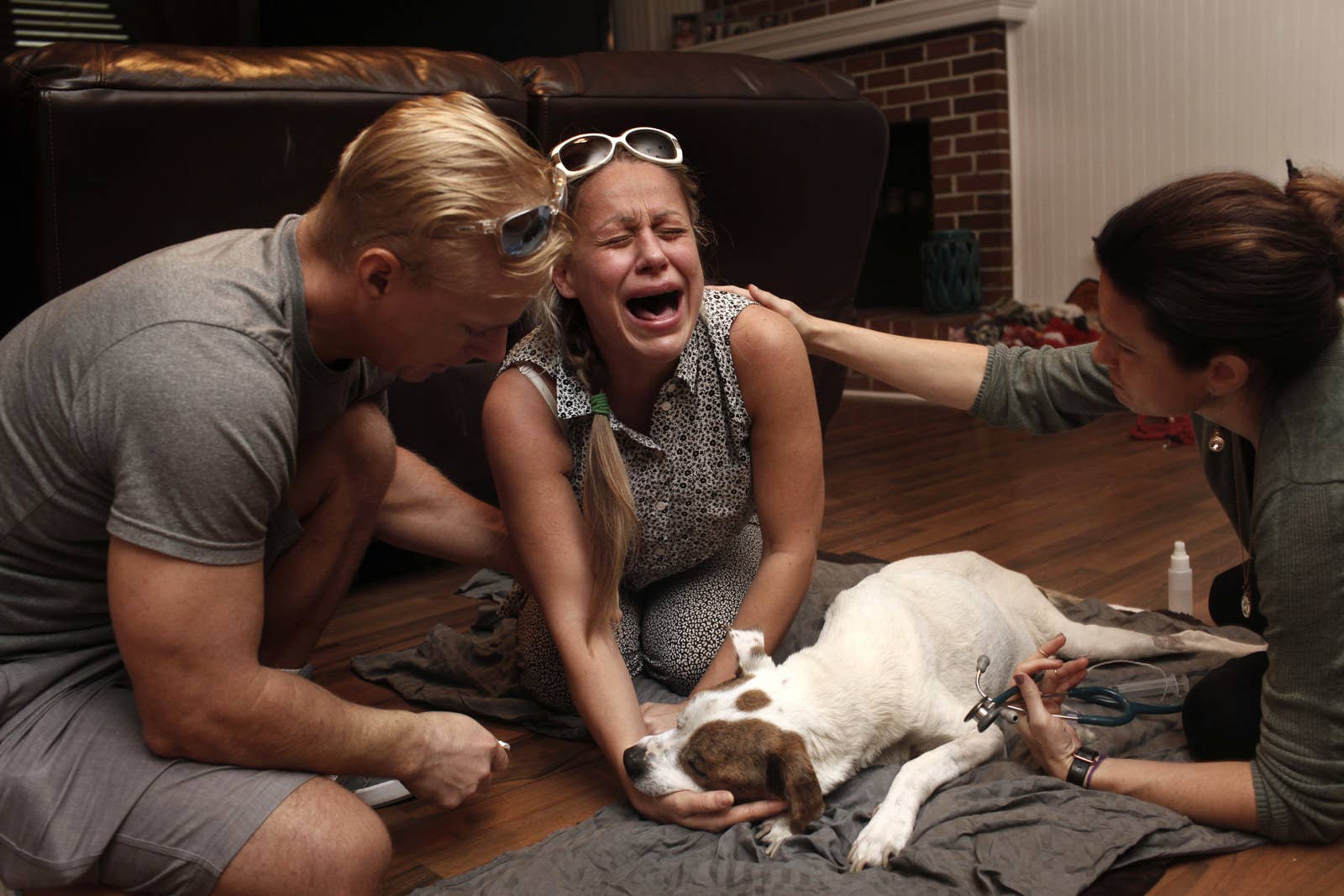 Ce photographe capture les derniers moments émouvants entre les animaux de compagnie et leurs propriétaires