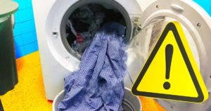 Ce qui se produit lorsque vous laissez le linge humide trop longtemps dans le lave-linge. C’est totalement déconseillé