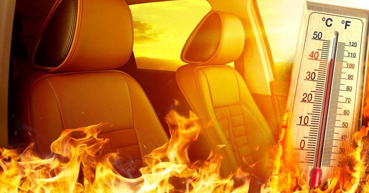 les objets qu’il ne faut jamais laisser dans la voiture lorsqu’il fait chaud : vous pourrez le regretter