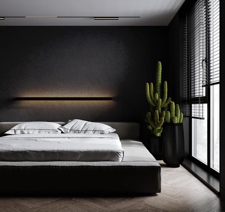 Chambre avec cactus