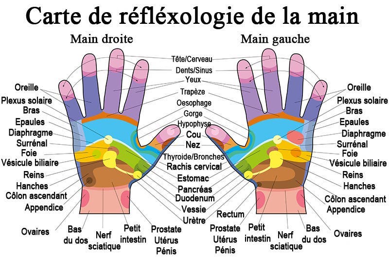 Chaque partie de la main est associée à une partie précise du corps