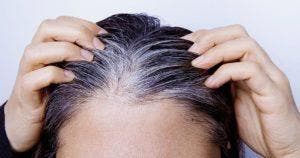 Cheveux blancs - pourquoi doit-on éviter de la arracher