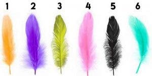 Choisissez une plume et découvrez les traits cachés de votre personnalité