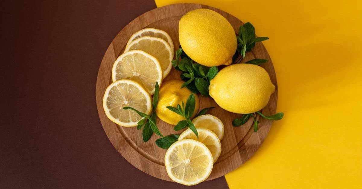Citron, du soleil dans l’assiette02
