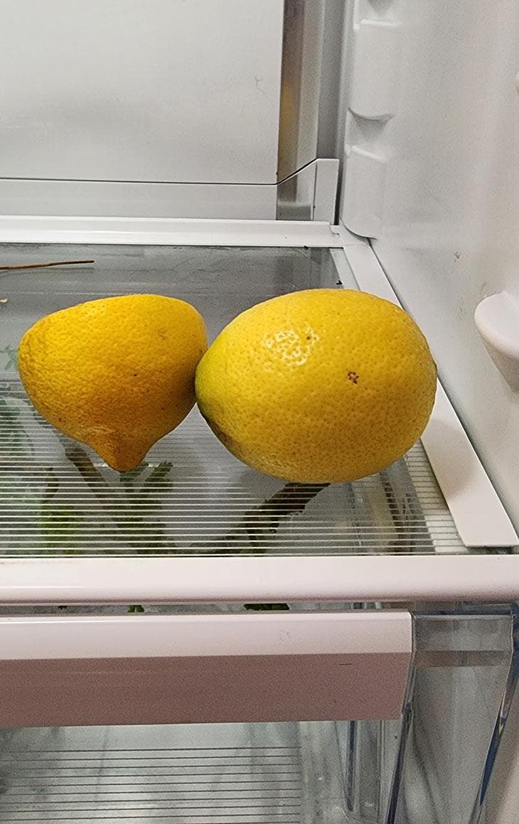 Limoni in frigo