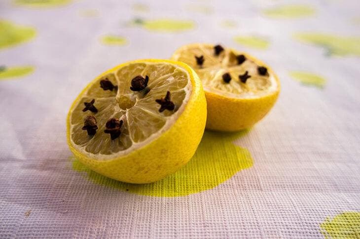 Planta de clavo en medio limón