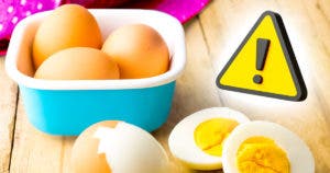 Combien de temps pouvez-vous conserver les œufs une fois cuits001