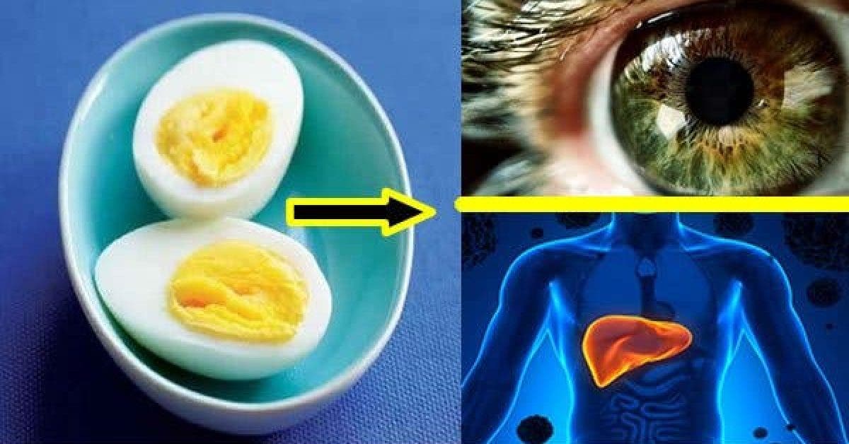 manger deux œufs par jour
