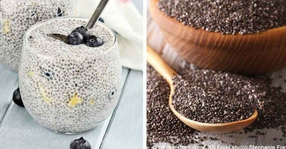 1 cuillère à café de graines de chia peut aider à améliorer votre intestin