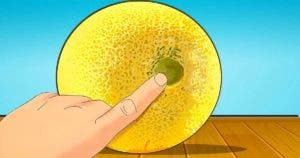 Comment choisir un melon savoureux à tous les coups