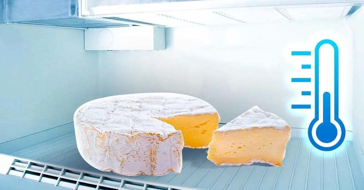 Comment conserver le fromage pendant 6 mois au refrigerateur