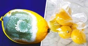 conserver les citrons