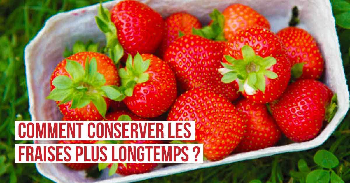 Comment conserver les fraises plus longtemps