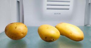 Comment conserver les pommes de terre sans les faire germer
