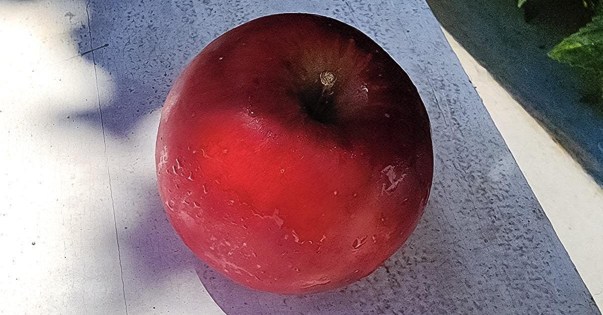 Comment conserver les pommes pour qu’elles restent croquantes plus longtemps