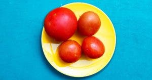 Comment conserver les tomates plus longtemps