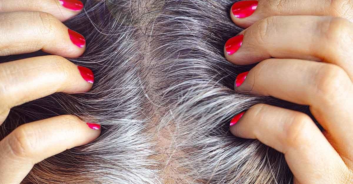 Comment couvrir les cheveux gris grâce à la tomate_