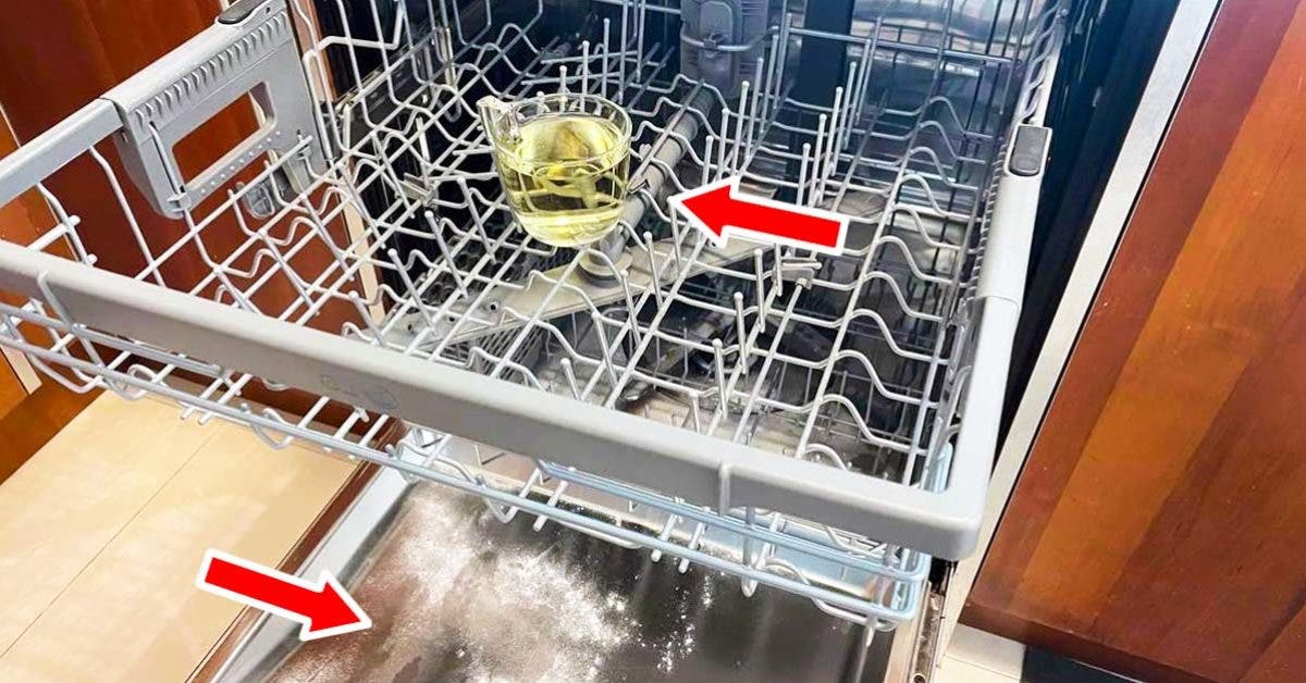 Comment degraisser desinfecter et parfumer le lave-vaisselle avec la methode du verre