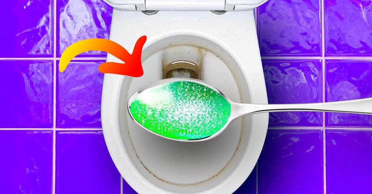 Comment éliminer le tartre des toilettes sans utiliser d’eau de Javel