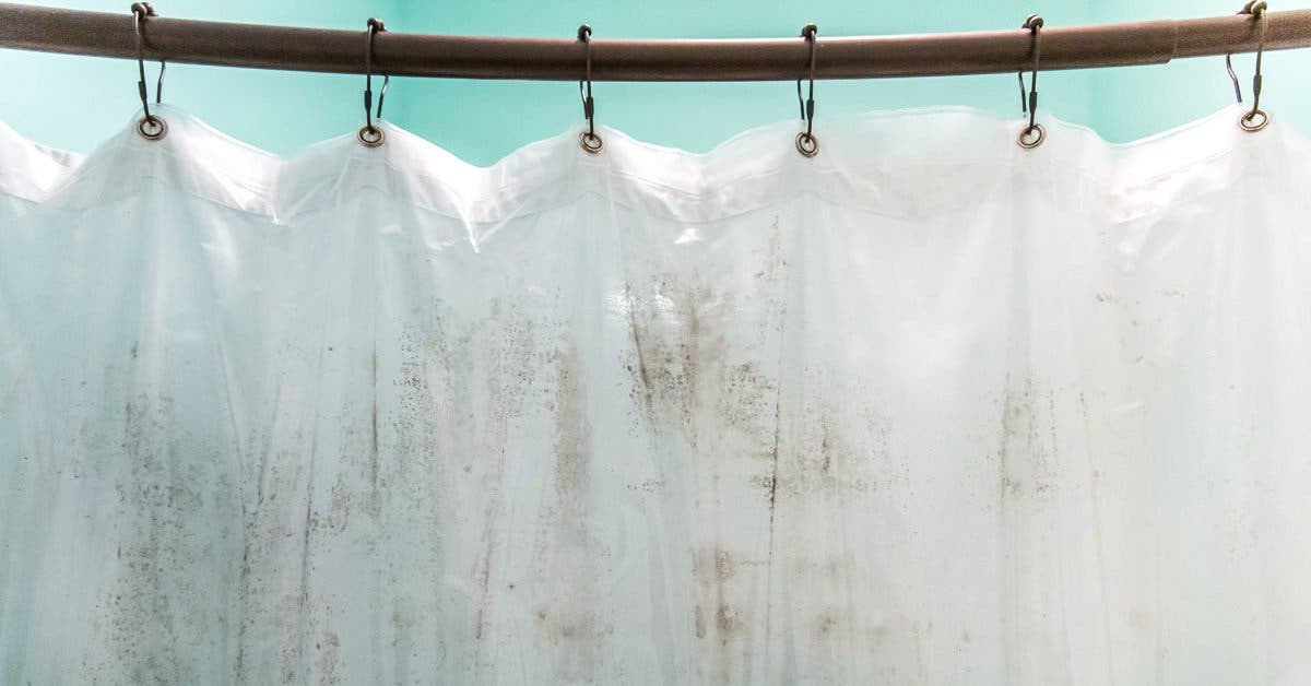 Comment eliminer les moisissures des rideaux de douche