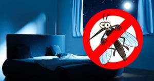 Comment éliminer les moustiques qui bourdonnent dans votre chambre la nuit2001