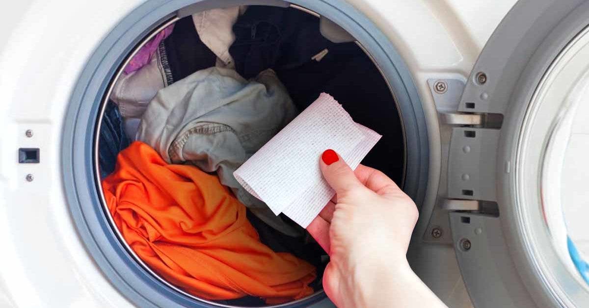 Mouchoir oublié dans le lave-linge : comment retirer les peluches ?