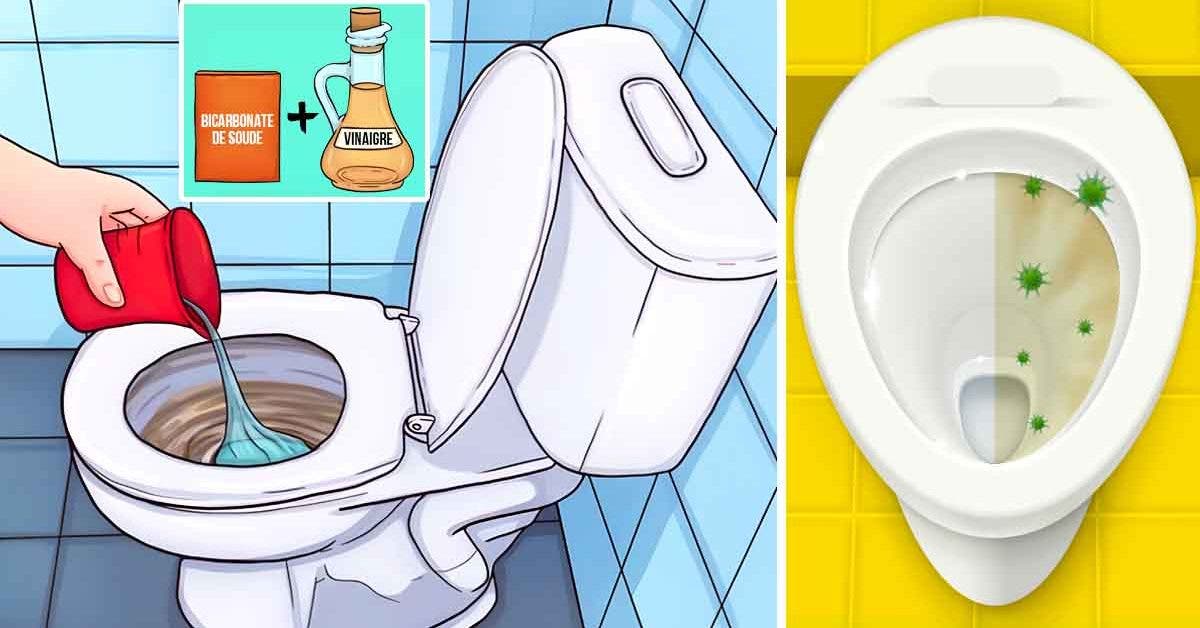 Conseils pour déboucher les toilettes - infomaison