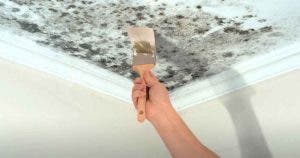 Comment éliminer l’humidité et les moisissures avec un remède simple et efficace