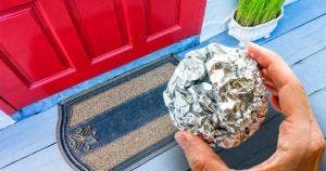 Comment éloigner les animaux et insectes de la maison avec du papier aluminium SITE final