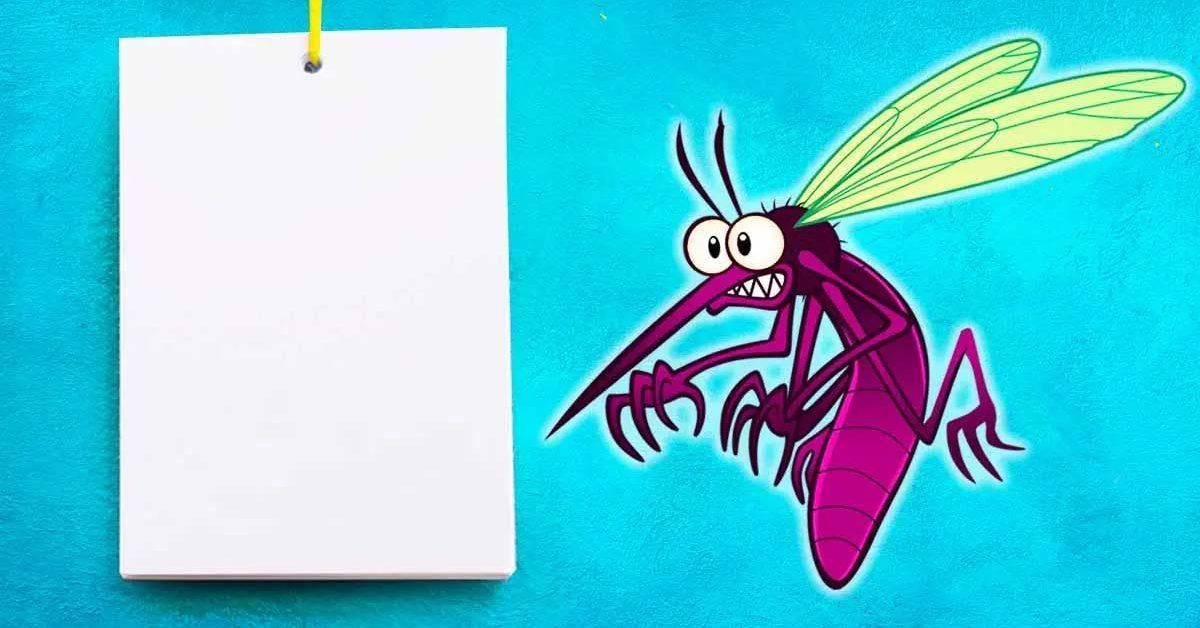 Comment éloigner les mouches et les moustiques avec l’astuce de la feuille