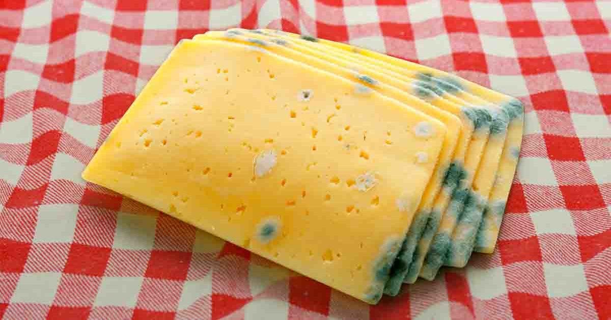 Comment empêcher le fromage de moisir