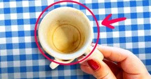 Comment enlever la tache de café incrustée dans les tasses01