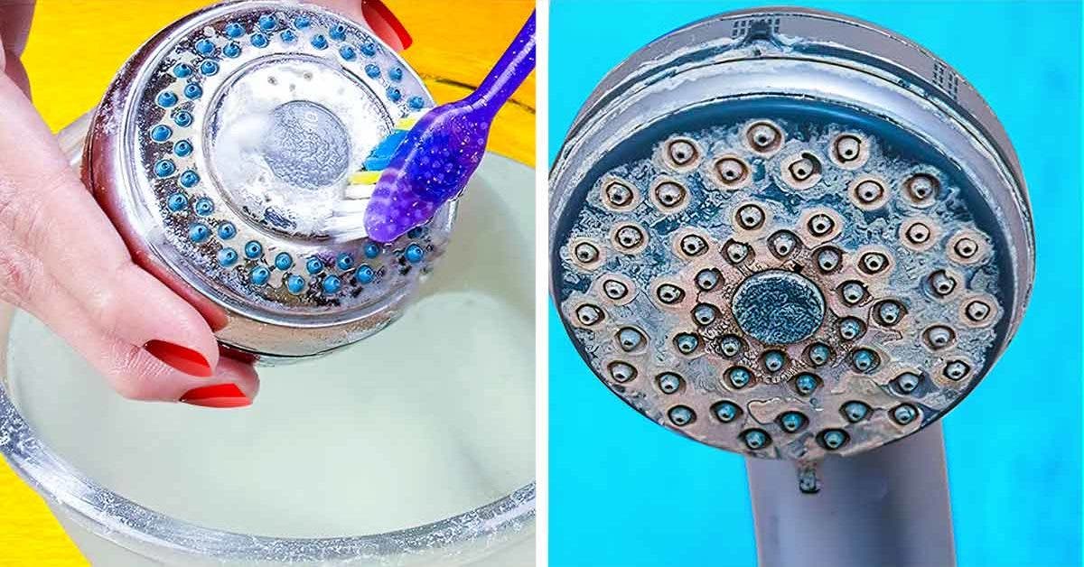 Comment enlever le calcaire du pommeau de douche ?