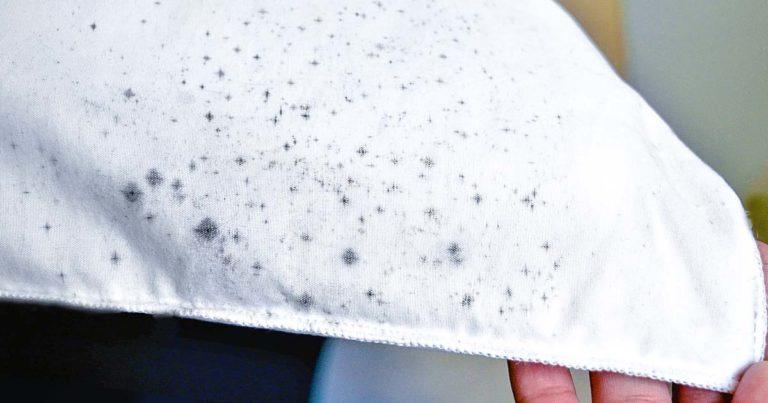 Enlever la moisissure sur du tissu : 4 astuces à essayer
