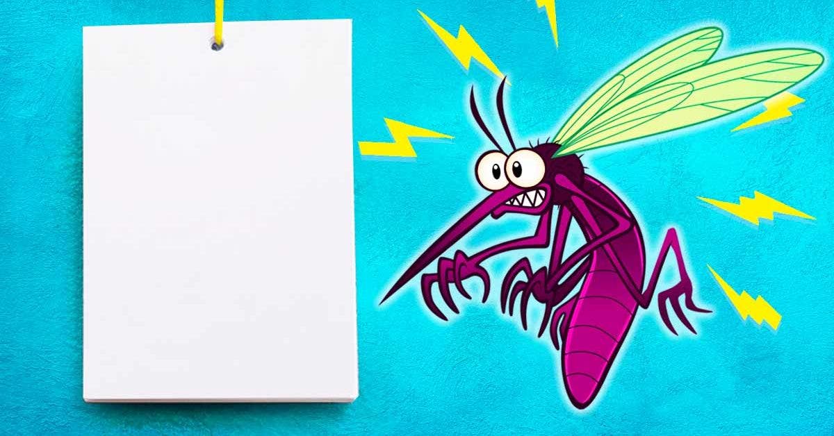 Comment éloigner les mouches et les moustiques avec l’astuce de la feuille
