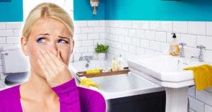 Comment éviter les mauvaises odeurs dans la salle de bain