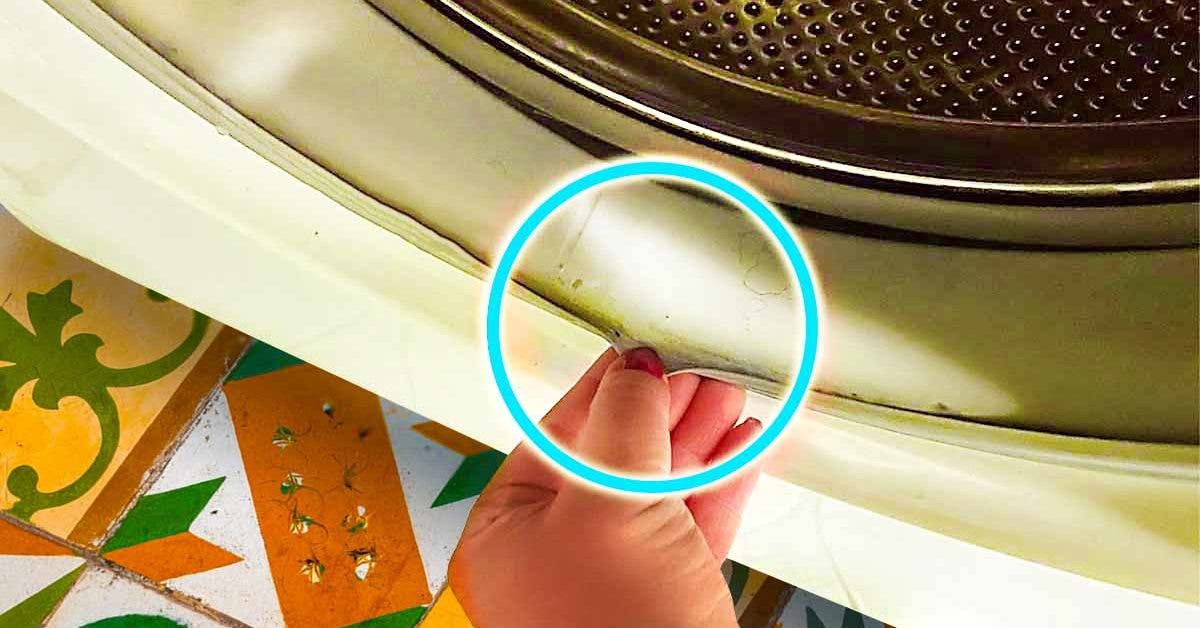 Comment faire disparaitre la moisissure du joint de la machine à laver002