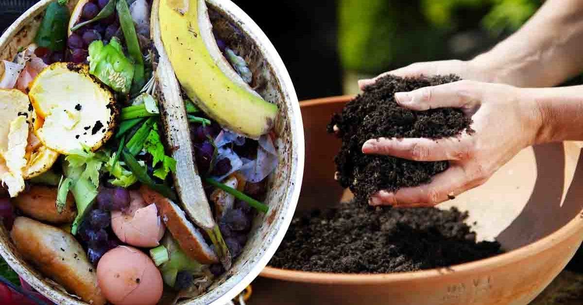 pousser vos plantes