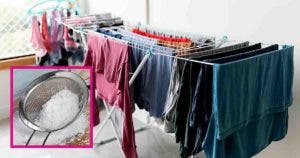 Comment faire pour que le linge séché à l’intérieur ne sente pas mauvais 2